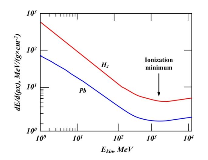 The dependence of the specific energy loss of protons in hydrogen and lead on the initial kinetic energy of the protons