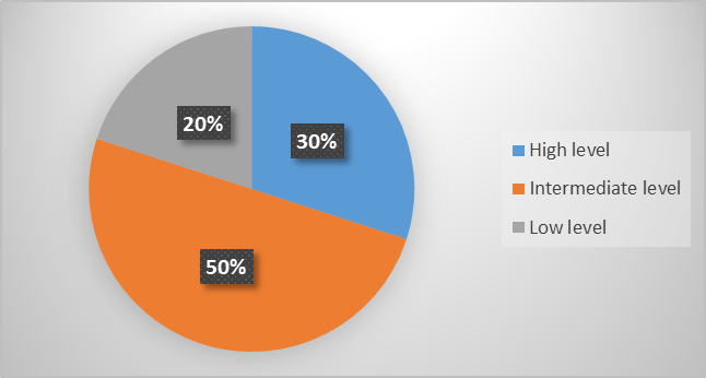 Percentage ratio of students by levels of knowledge and skills formation in the experimental group