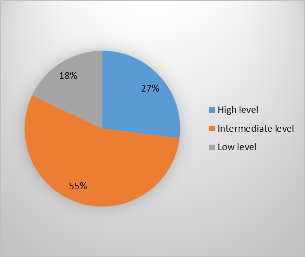 Percentage ratio of students by levels of knowledge, skills and abilities in the control group at the control stage