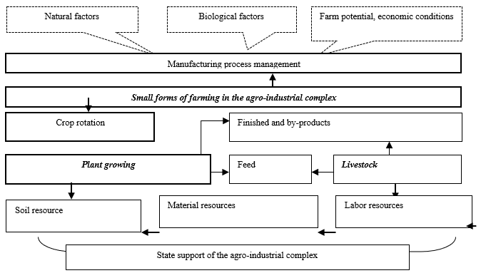 Factors and conditions for the rational organization of production in small forms of management of the agro-industrial complex