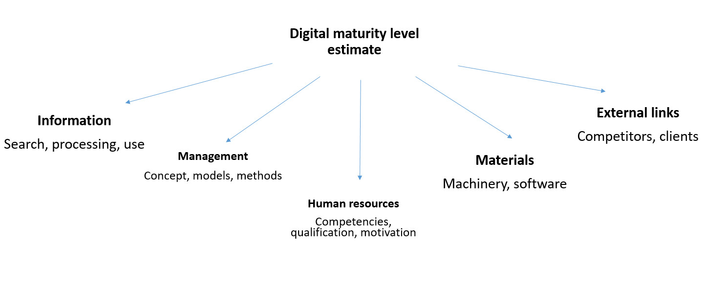 Authors’ digital maturity level assessment model