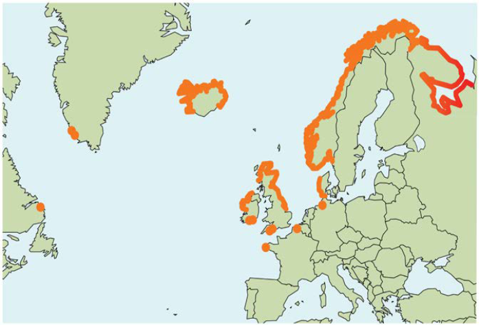 Pink salmon catches in the Atlantic and the Barents Sea basins in 2017. The red-marked areas indicate the main introduction zones in Northwest Russia (Assessment of the risk …, 2020)