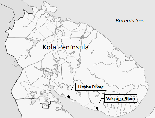 Pink salmon sampling locations in the rivers of the Kola Peninsula