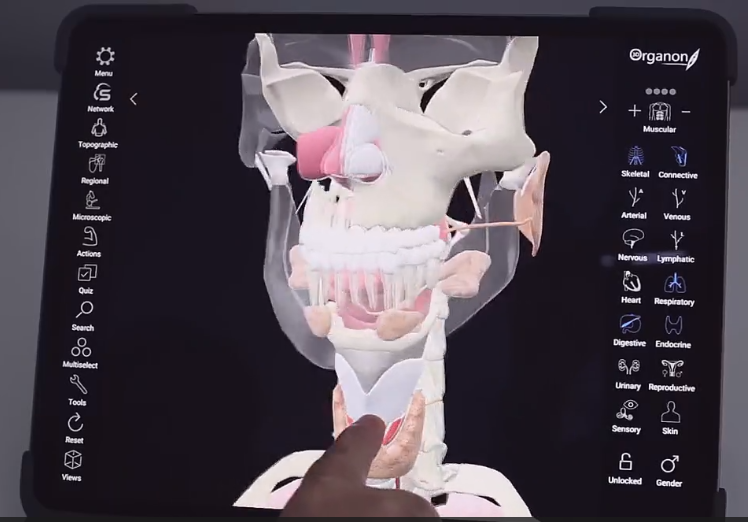 3D Organon VR Anatomy Application