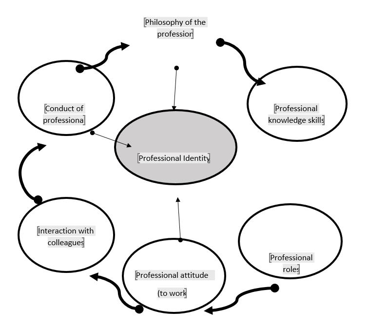 Structure of professional identity 