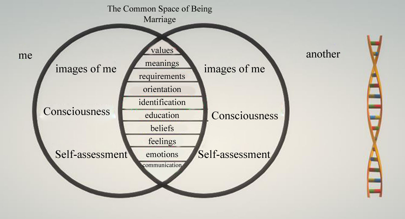 Schematic representation of the superimposition of subjective spaces of marriage partners in a situation of co-existence 