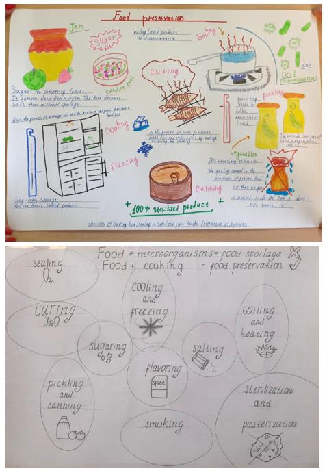 Examples of students’ sketchnotes on the topic “Food preservation”