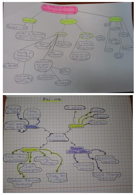 Examples of students’ mind maps