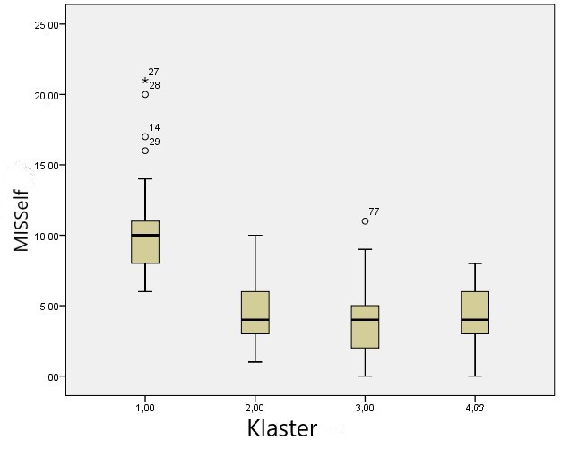 Motivational individual profiles of different groups of participants