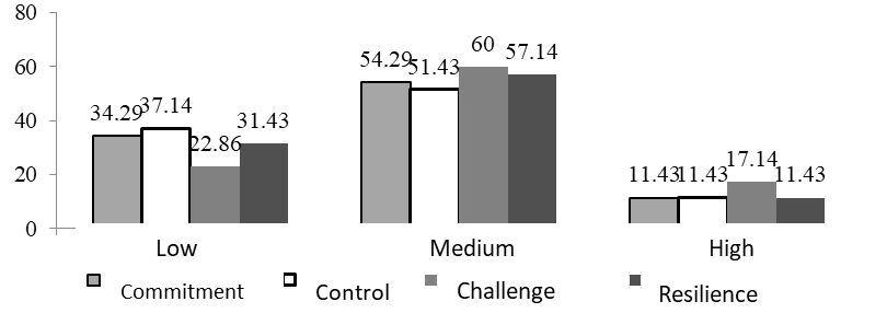 Intensity of resilience in adolescence (in percentage terms) 