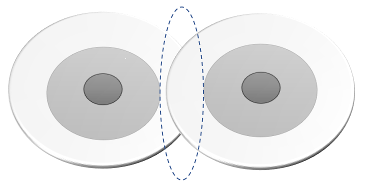 Zone of uncertainty – a zone of overlap of weak features of two or more categories