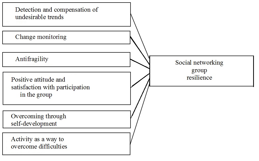Figure 2. Components of social networking group resilience