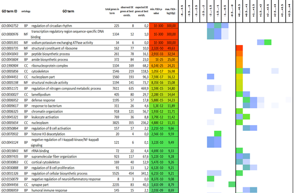 The results of fold-change-specific enrichment analysis (FSEA) of differentially expressed genes (DEGs) between N. guentheri males treated with Torin 2 and control group. 