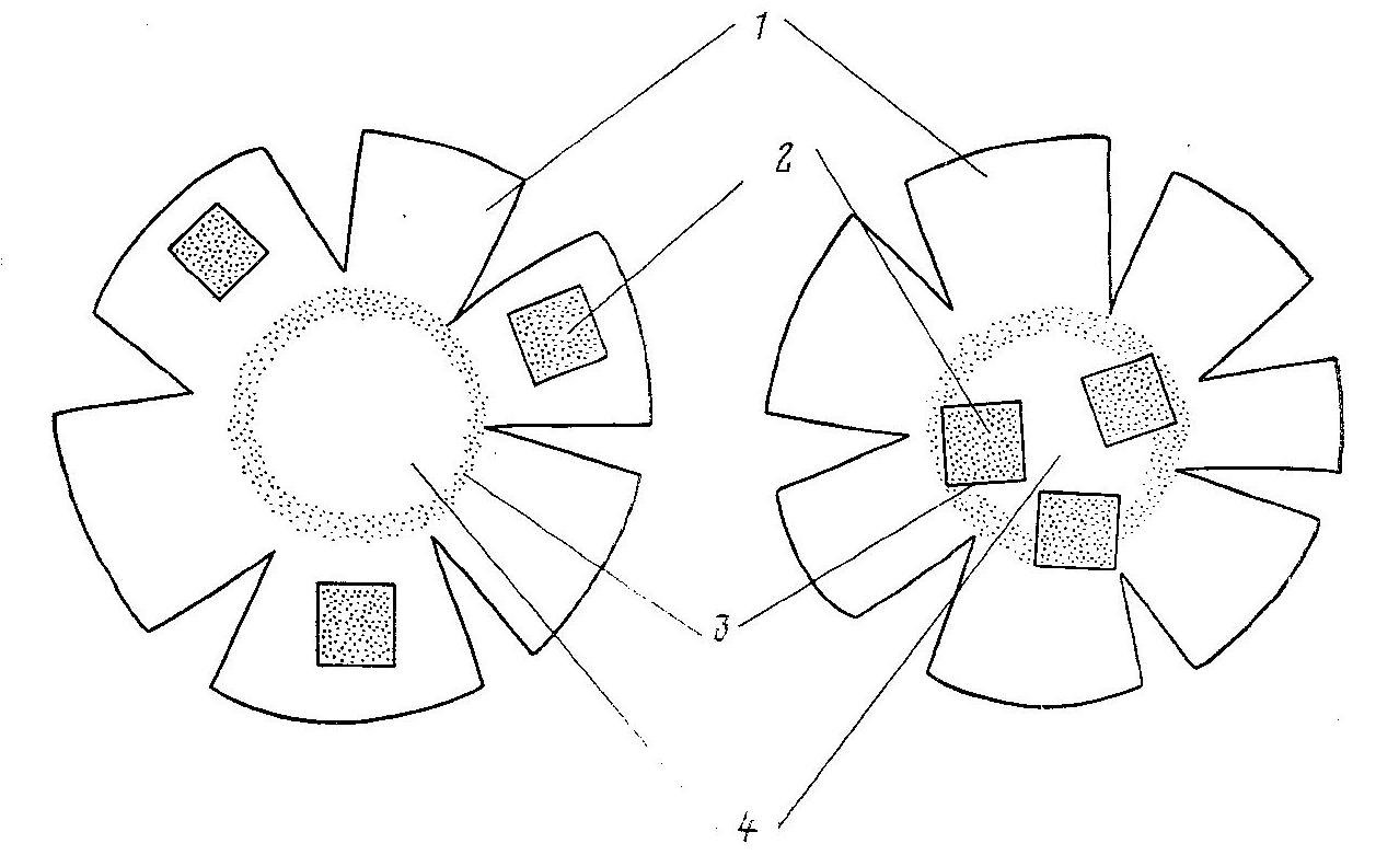 The layout of the calculated fields in the lens epithelium