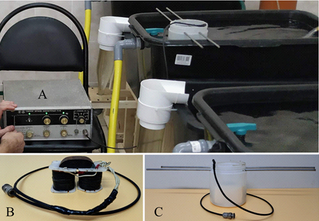 Means for treating water EMP. A - low-frequency signal generator G3-118; B - source of low-frequency EMP; C - container for immersing the source of low-frequency EMP into water