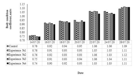 Fulton fatness coefficient of Cyprinus carpio larvae during the experiment