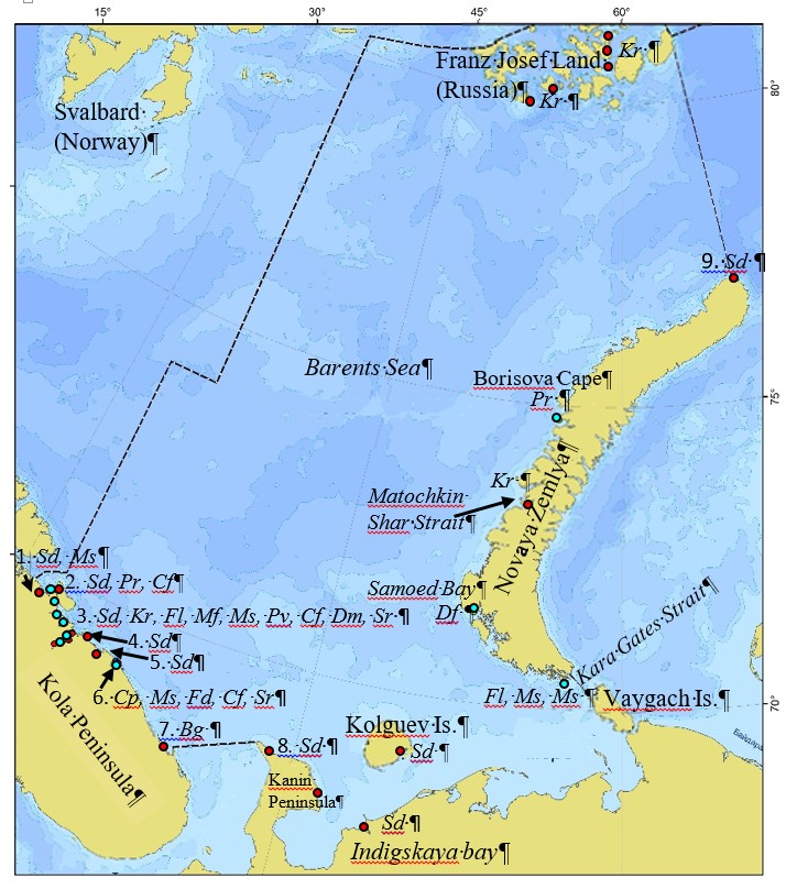 Map of the rare (blue circles) and preserved (red circles) algal species of the Barents Sea. Numbers indicate the areas of algae collection: 1. Pechenga Bay, Bol’shoiy Ainov Island; 2. Rybachiy Peninsula, Bol’shaya Volokovaya Bay, Motovskiy Bay; 3. Kola Peninsula, Ura Bay, Vichani Bay; 4. Kildin Island; 5. Teriberka Bay; 6. Zelenetskaya Bay, Yarnishnaya Bay, Podpahta Bay; 7. Ponoi River, Krivaya River; 8. Kanin Nos Cape; 9. Russian Arctic National Park. Abbreviated taxon name of algae: Bg - Batrachospermum gelatinosum, Cf - Codium fragile, Cp - Choreocolax polysiphoniae, Df - Devaleraea firma, Dm - Derbesia marina, Fd - Fucus distichus subsp. evanescens, Fl - Feldmannia kjellmanii, Kr - Kornmannia leptoderma, Mf - Myrionema foecundum, Ms - Myrionema strangulans, Pr - Peyssonnelia rosenvingei, Pv - Pseudoralfsia verrucosa, Sd - Saccorhiza dermatodea, Sr - Syncoryne reinkei