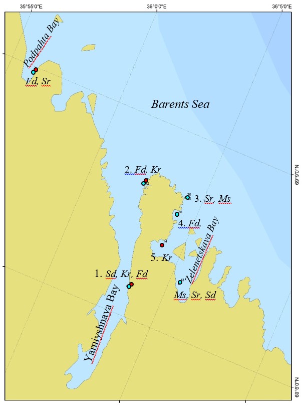 Map of the rare (blue circles) and preserved (red circles) algal species of the Yarniyshnaya Bay (Kola Peninsula, Barents Sea). Numbers indicate the areas of algae collection: 1. Bobrovaya Bay, 2. Yarniyshniy Cape, 3. Dernistiy Сape, 4. Avariynaya Bay, 5. Oscar Bay. Abbreviated taxon name of algae see Figure 1 captions