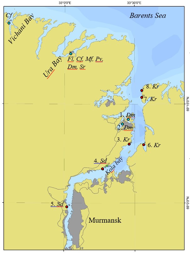 Map of the rare (blue circles) and preserved (red circles) algal species of the Kola, Ura and Vichani Bays (Barents Sea). Numbers indicate the areas of algae collection: 1. Oleniya Bay, 2. Pala Bay, Korabel'naya bay, 3. Tonya village, 4. Belokamenka village, 5. Min’kino village, 6. Srednyaya bay, 7. Cape Baklaniy, 8. Cape Letinskiy. Abbreviated taxon name of algae see Figure 1 captions
