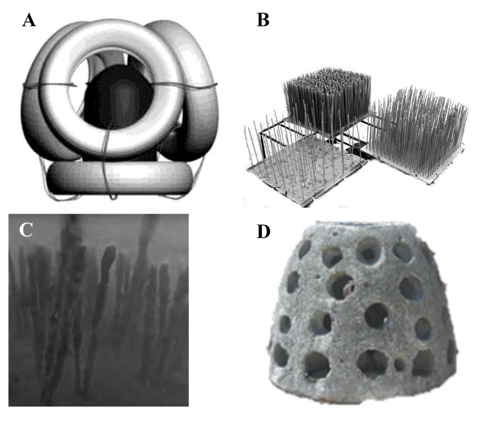 Types of artificial reefs. (A) from tires, Gireyeva et al., 2009, (B) in the form of brushes, Prazukin et al., 2016; (C) EcoTangry and (D) Reef ball, http://www.artificialreefs.ru/1/reef-ball.html