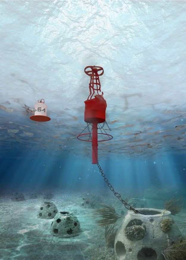 Scheme - visualization of a model of the "Revivalis" artificial reef in Donuzlav lake