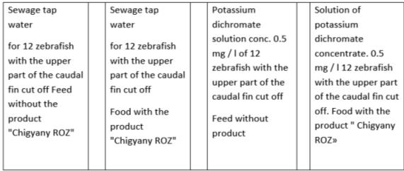 Distribution of Danio rerio fish in the experiment during regeneration of the caudal fin in sewage tap water and in solutions of potassium dichromate with or without the addition of the product "Chigyany ROZ" to the feed