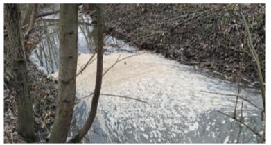 Suspected contamination with detergents. Accumulation of foam of unidentified origin (photo by the authors)