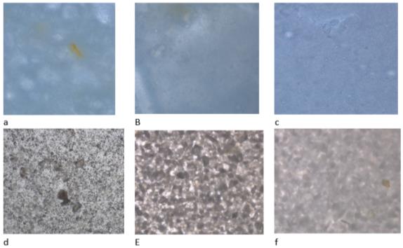 Microstructure of liquid test suspensions with various concentrations of pre-processed powder from uncolored vegetable raw materials with milk: a - with Jerusalem artichoke 1.4%; sample b-apple - carrots, 1.0%; sample c - apple - carrot, 1.5%. Samples e, f, g with water at a concentration of 1, 2, and 3%. Magnification x10