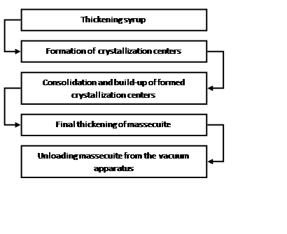 The main stages of crystallization of sucrose in a vacuum apparatus