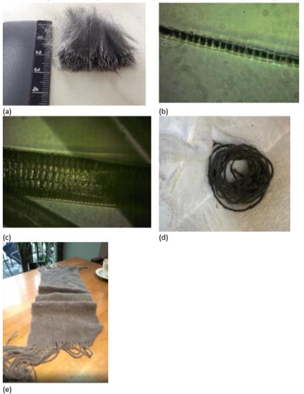 Chinchilla wool and hair characterstic. (a) Chinchilla hair is uniform, virtually the same in length and thickness; (b) Chinchilla hair structure, consisting of one row of scales; (c) Rabbit hair structure, consisting of several rows of scales; (d) Chinchilla down wool; (e) Chinchilla scarf woven from woolen thread