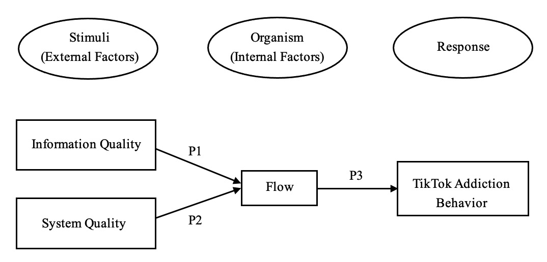 Theoretical framework