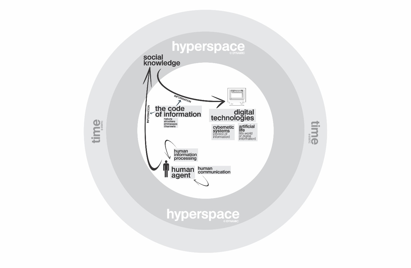 The ‘code of information’ hypothesis