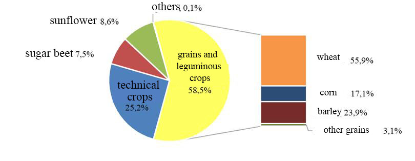 The structure of the cultivated areas of the Kursk region in 2019