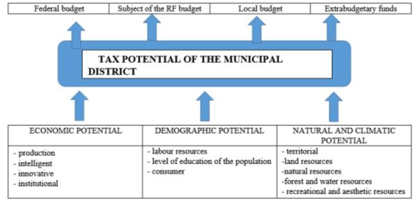 Formation and transformation of the tax potential of a municipality