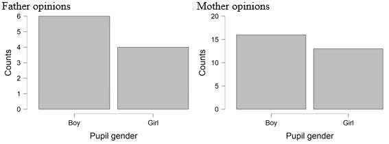 Demographic representation in parent-child pairs