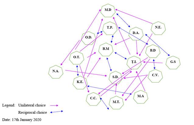 Preschool Group Sociogram in T1