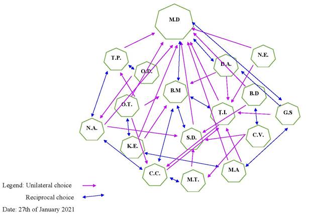 Preschool Group Sociogram in T4