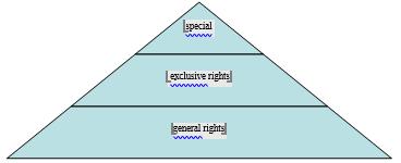 [Levels of rights and status of cognitively vulnerable participants in criminal proceedings]