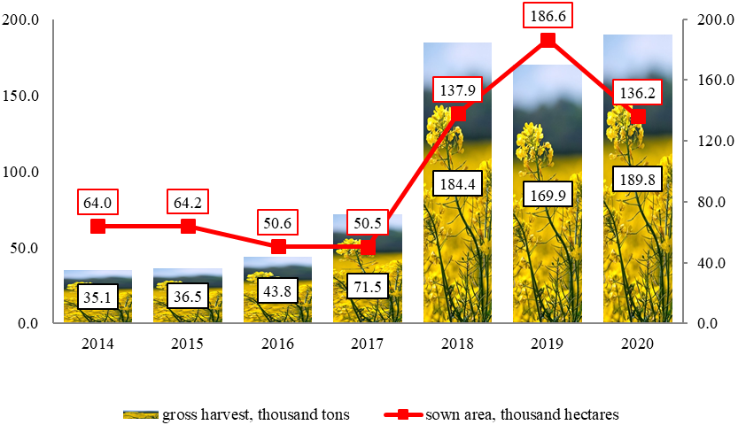 Dynamics of the sown area and gross harvest of rapeseed (weight after completion) in the
      Altai Territory (Malakhov & Khorunzhin, 2018)