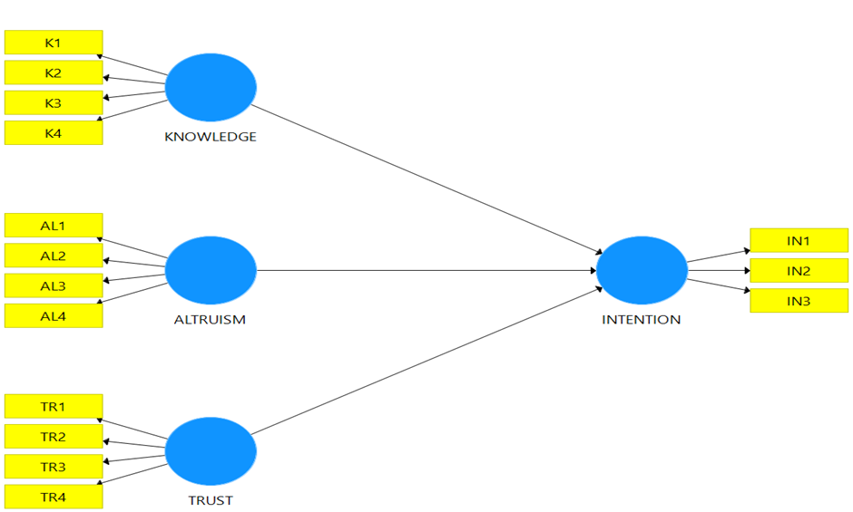 Conceptual Framework