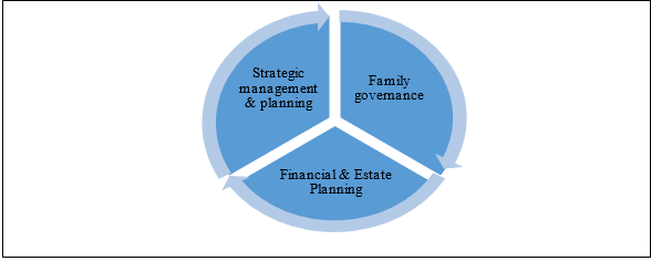 Proposed family business strategy framework for sustainability