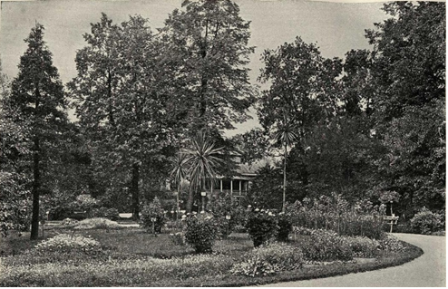 Central flower bed of the Imperial Botanical Garden, 1905 ( a photo in "Illustrated guide to the Imperial Botanical Garden", 1905)