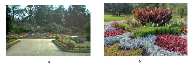 a – Photo of the central flower bed of the Imperial Botanical Garden, 1913; b – Photo of the central flower bed of Peter the Great Botanical Garden, 2020 