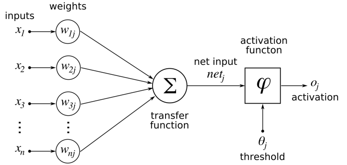 Nonlinear model of neuron