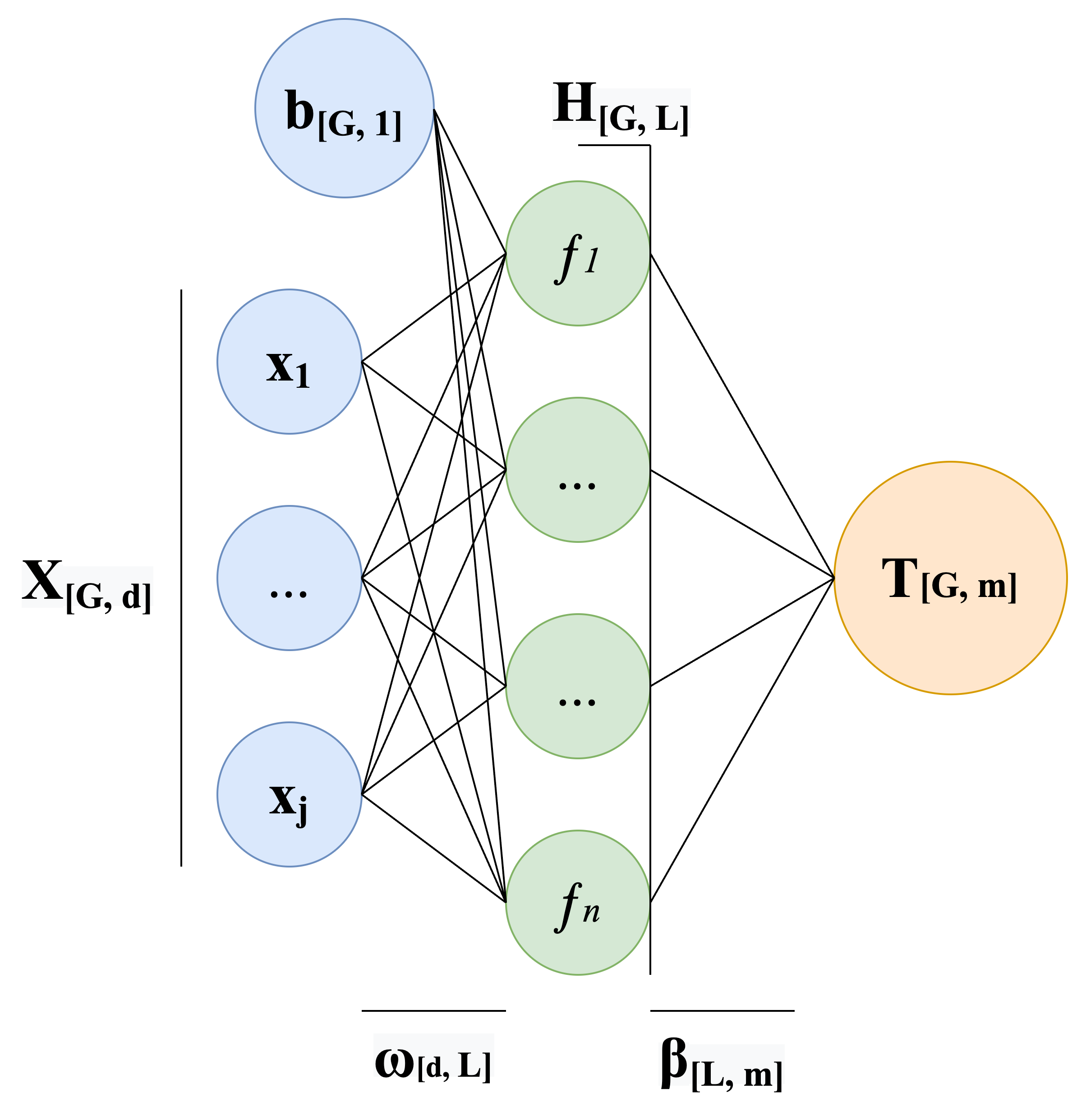 Model architecture