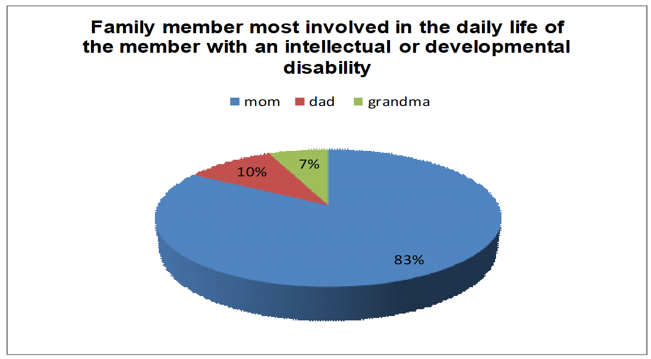Family member most involved in everyday life of the member with intellectual or developmental disability