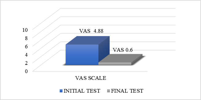 Average for pain parameter (VAS scale)