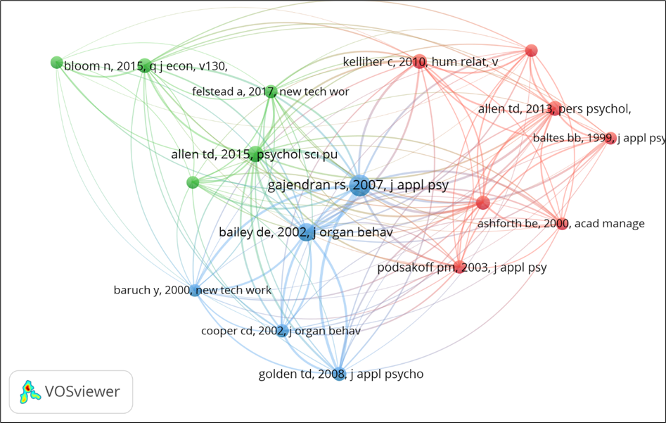 Co-citation analysis map