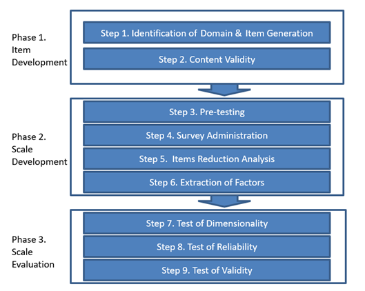 The Iterative Steps of Measurement Scale Development