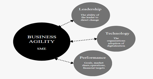 Business Agility Framework for SME